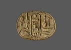 scarabée, image 1/2