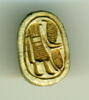 scarabée, image 1/2