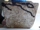 coffret funéraire  ; sarcophage de faucon, image 4/11
