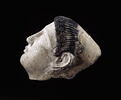 masque de momie, image 7/7