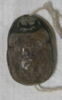 scarabée, image 4/6
