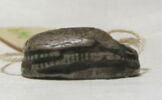 scarabée, image 5/6