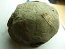 bouchon de jarre en calotte ; empreinte de sceau, image 4/4