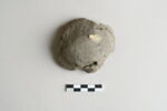 bouchon de jarre en calotte ; empreinte de sceau, image 1/4