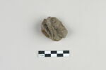 bouchon de jarre en calotte ; empreinte de sceau, image 1/3