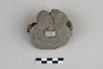 bouchon de jarre en calotte ; empreinte de sceau, image 2/5