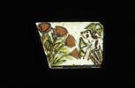 incrustation  ; plaquette, image 2/2