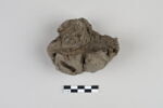 bouchon de jarre en calotte ; empreinte de sceau, image 3/5