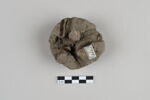 bouchon de jarre en calotte ; empreinte de sceau, image 1/6