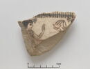 ostracon figuré, image 1/2