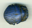scarabée à ventre détaillé, image 2/3