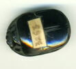 scarabée, image 1/2