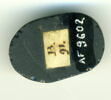 scarabée, image 2/2
