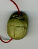 scarabée, image 4/4