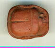 scarabée, image 2/3