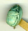 scarabée, image 2/2