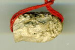 scaraboïde, image 2/2