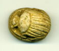 scarabée, image 1/2