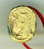 scarabée, image 1/4