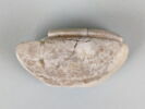 coupelle à lèvre surélevée, image 1/4