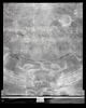 Zodiaque de Dendéra, image 21/25