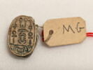 scarabée, image 1/2