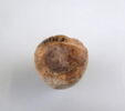 vase simulacre, image 3/3
