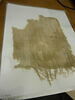 tissu miniature, image 2/2