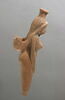 flacon ; vase plastique, image 1/7