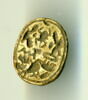 scarabée, image 1/2