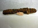 indéterminé ; fragments, image 2/2