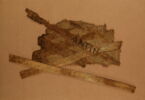 linceul peint  ; bandelette, image 1/2