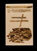 linceul peint, image 2/2