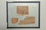 papyrus, image 1/2