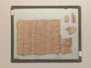 papyrus documentaire, image 2/2