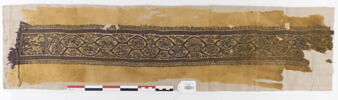 clavus ; fragment, image 1/3