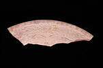 plat ; fragment, image 1/2