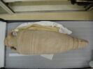 amphore, image 2/2