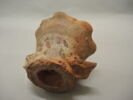 gargoulette, image 2/3