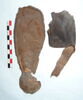 mule ; fragments, image 1/2
