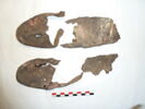 mule ; fragments ; fragments, image 1/2