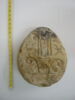 lampe ovoïde, image 3/3