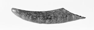 faucille, image 1/2