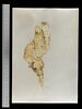 feuillet de codex ; fragment, image 2/4
