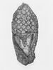chaussure droite, image 3/3