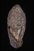 chaussure droite, image 1/3
