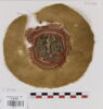 orbiculus ; fragment, image 1/2