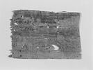 papyrus, image 1/4
