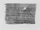 papyrus, image 3/4