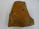 vase, image 2/2